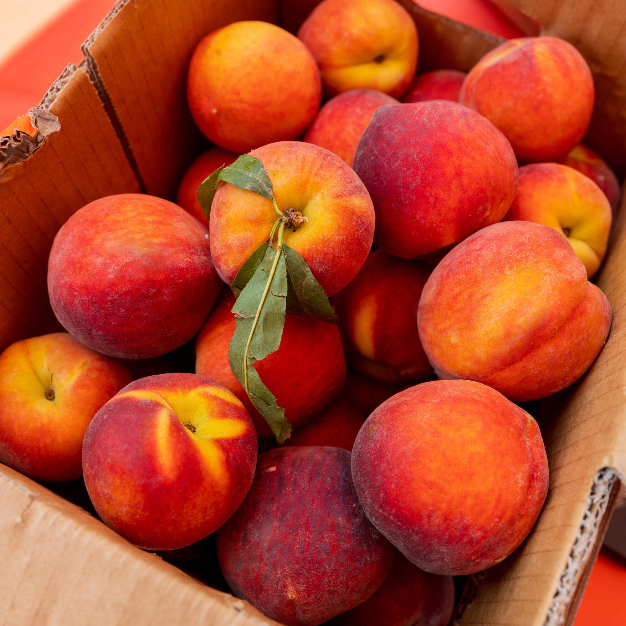 Peaches in a cardboard box, close-up of fuzzy orange-red fruit.